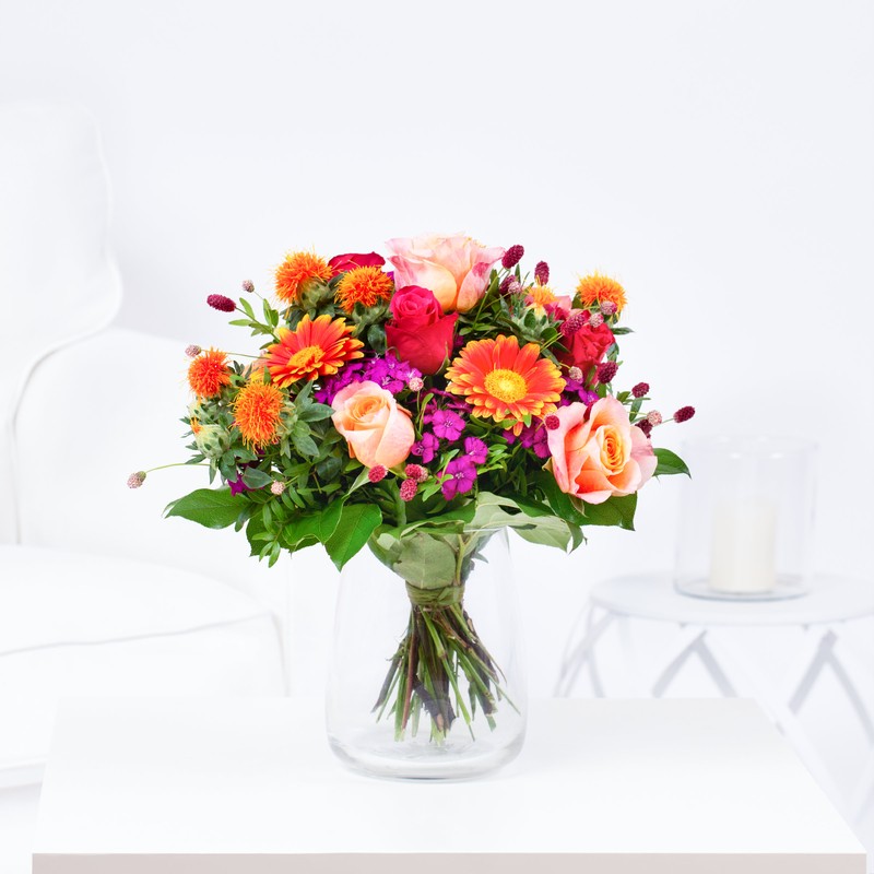 Rosen "Brilliant Colors"