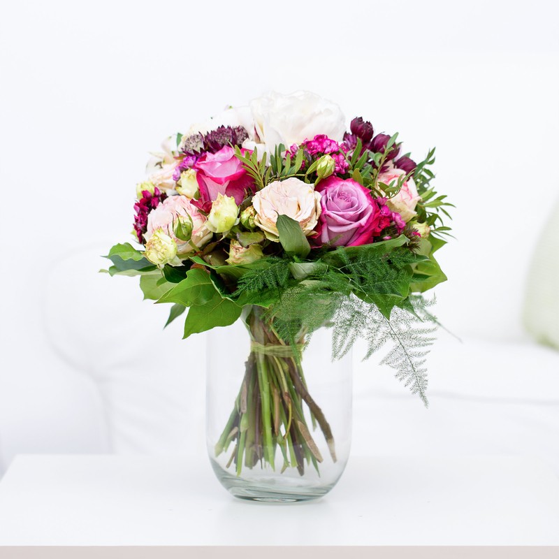 Rosen "Gartentraum"