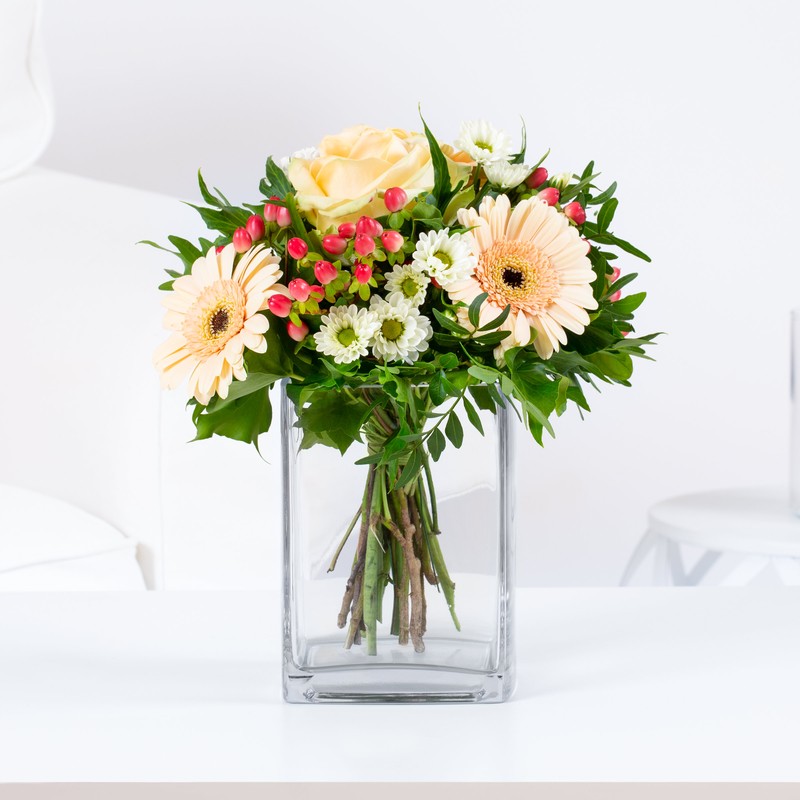 Rosen "Apricot oh Apricot"