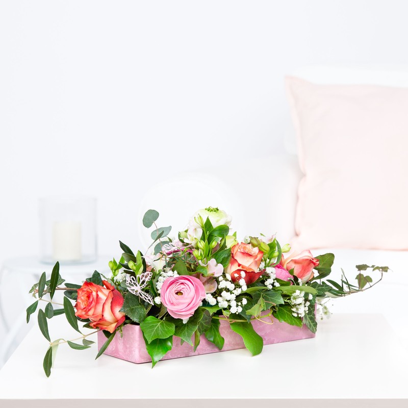 Rosen "Frühlingsbrise"